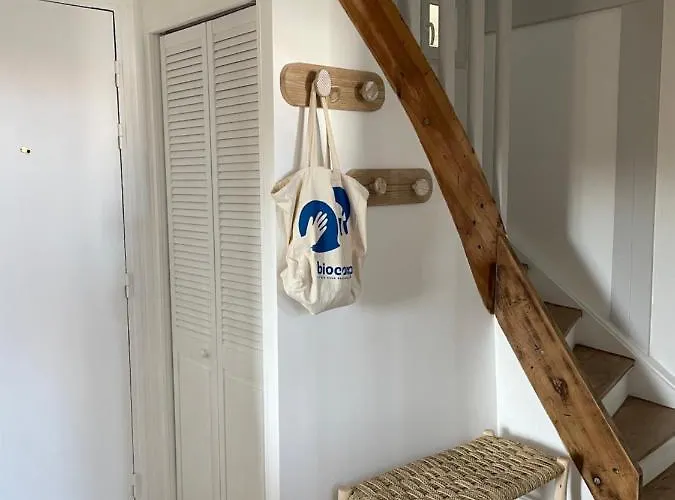 La Chouette Du Marion *