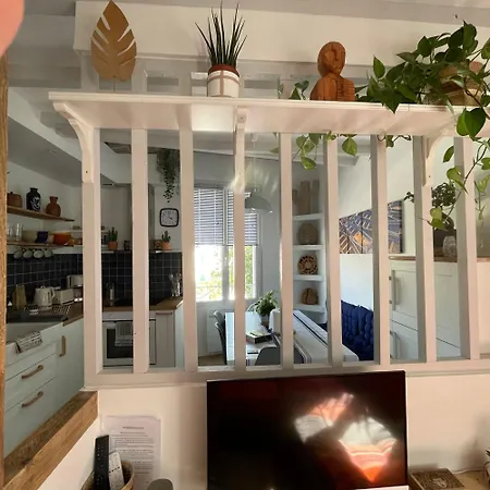 La Chouette Du Marion *